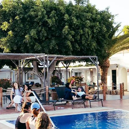 אכסניה The Tree House Tenerife