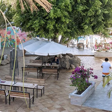 Hostel The Tree House Tenerife El Medano (Tenerife)