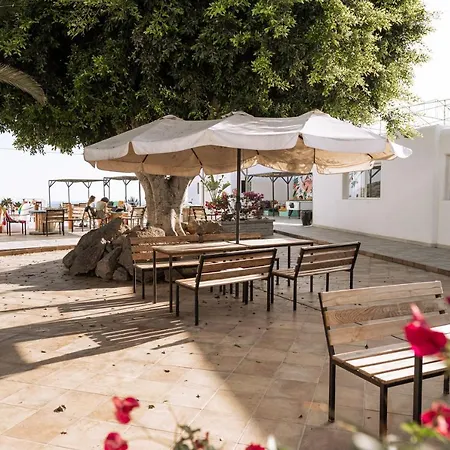 Hostel The Tree House Tenerife