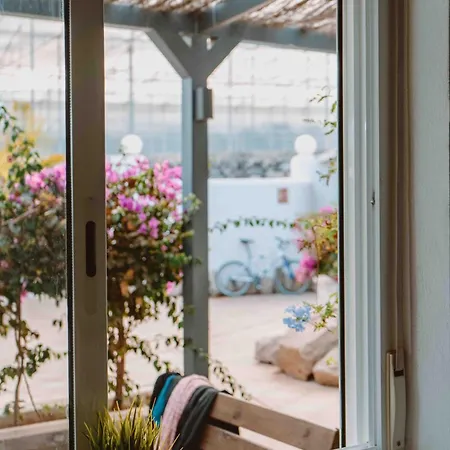 The Tree House Tenerife Hostel