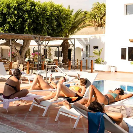 The Tree House Tenerife Hostel