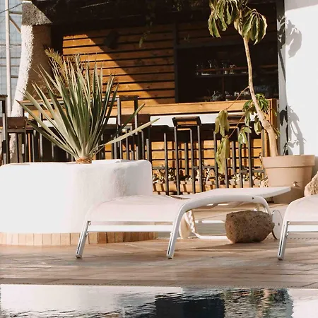 The Tree House Tenerife Hostel El Medano (Tenerife)