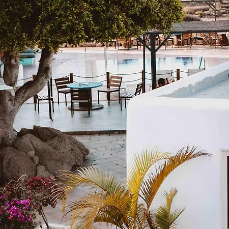 Hostel The Tree House Tenerife