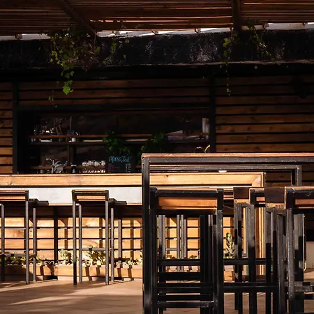 The Tree House Tenerife * El Medano (Tenerife)
