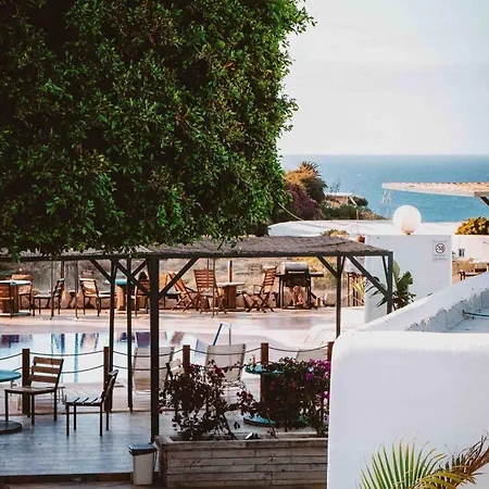 Hostel The Tree House Tenerife *