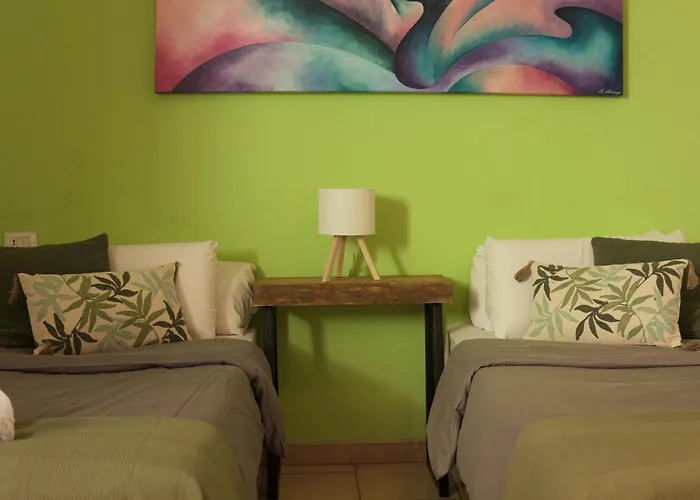 The Tree House Tenerife Auberge de jeunesse